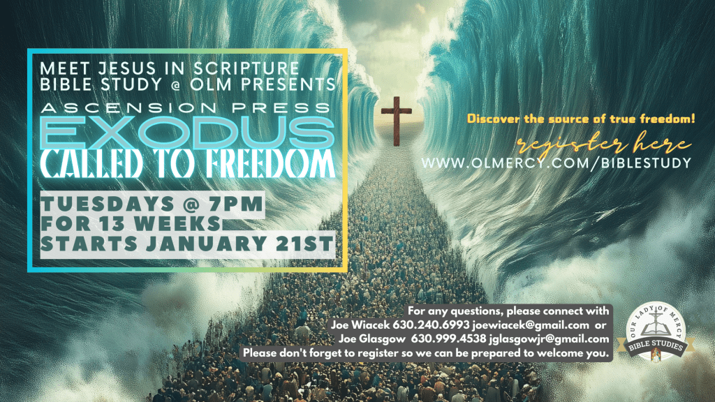 Exodus: Called to Freedom Bible Study Starts 1/21