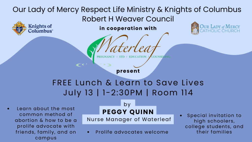 FREE Lunch & Learn: how Waterleaf and you can Save Lives – 7/13